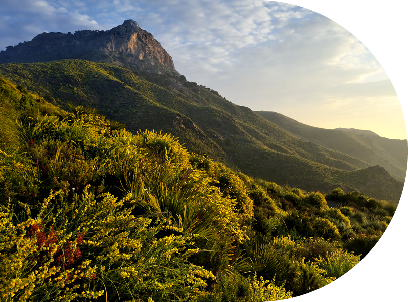 mountain