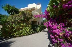 Images for Las Palmeras 15, La Manga Club